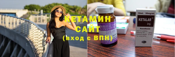 шишки Верея