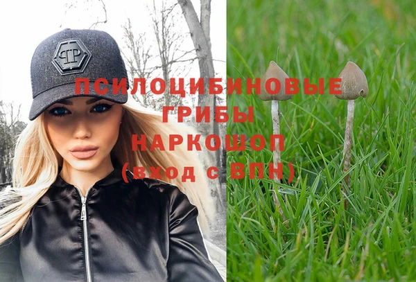сатива Белоозёрский