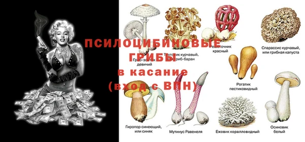 винт Бронницы