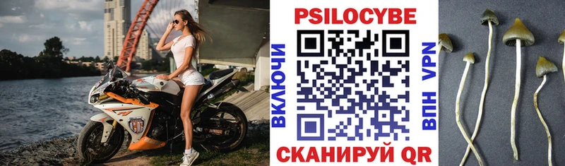 Галлюциногенные грибы Psilocybine cubensis  Купить где  Сольвычегодск 